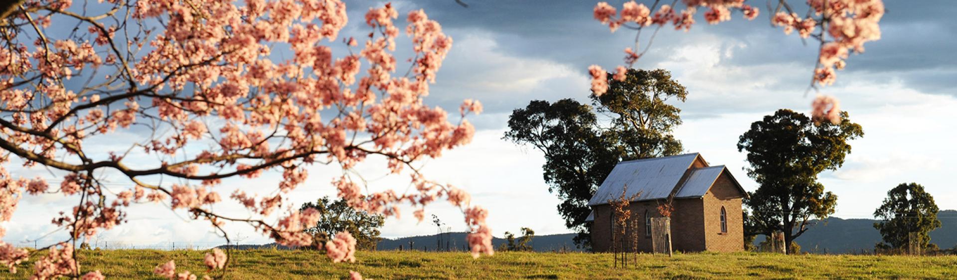 머지 지역의 꽃, 컨트리 뉴사우스웨일즈주(Country NSW)