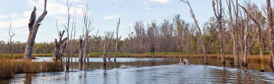 머럼비지 강(Murrumbidgee), 나란데라(Narrandera) 머럼비지 강(Murrumbidgee), 나란데라(Narrandera)